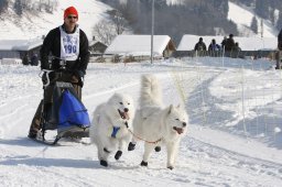 Lenk 2012 SM